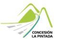 pintada pintada